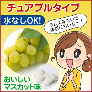おいしいお手軽サプリ 鉄×葉酸 150粒 30...の詳細画像2