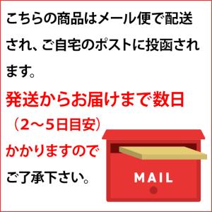 おいしいお手軽サプリ 鉄×葉酸 150粒 30...の詳細画像4