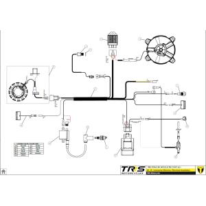 専用です 09012TR100 メインハーネス TRRS ラガレーシング : エトスデザイン