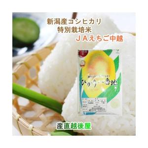 令和５年産  コシヒカリ 5kg 特Ａ地区 特別栽培米 新潟産 JAえちご中越農協 産地限定 送料無料【お米 ギフト グルメ】