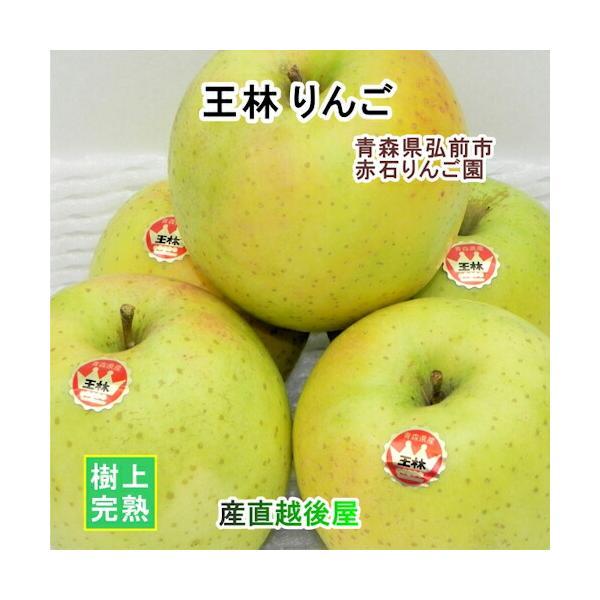 青森県弘前市 赤石りんご園 青森りんご 王林 2.5kg（6玉〜10玉）通常品 期間限定 樹上完熟り...