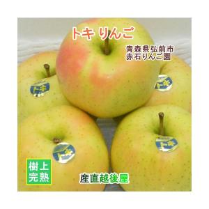 青森県弘前市 赤石りんご園 青森りんご トキ 2...の商品画像
