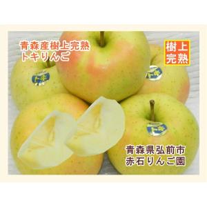 青森県弘前市 赤石りんご園 青森りんご トキ ...の詳細画像1