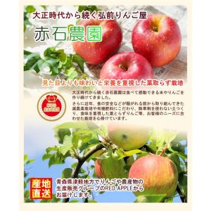青森県弘前市 赤石りんご園 青森りんご トキ ...の詳細画像2