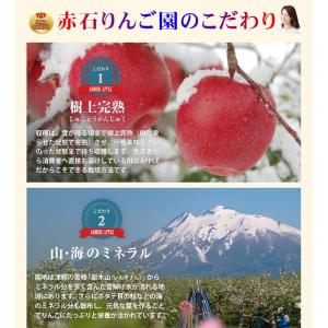 青森県弘前市 赤石りんご園 青森りんご トキ ...の詳細画像4