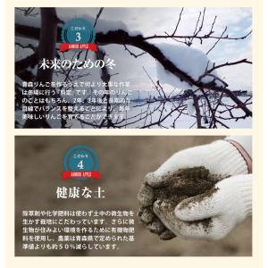 青森県弘前市 赤石りんご園 青森りんご トキ ...の詳細画像5