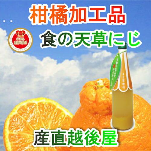 【フルーツ みかん 晩柑 調味料】熊本県 天草市 食の天草にじ天草ストレートジュース 180ml 2...