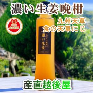 ギフト 果実飲料 生姜シロップ 熊本県 天草市 食の天草にじ あまくさ晩柑＆濃い生姜 5倍希釈 1本 天草産の天草晩柑 根生姜 純正蜂蜜使用 送料無料｜etigoya2012