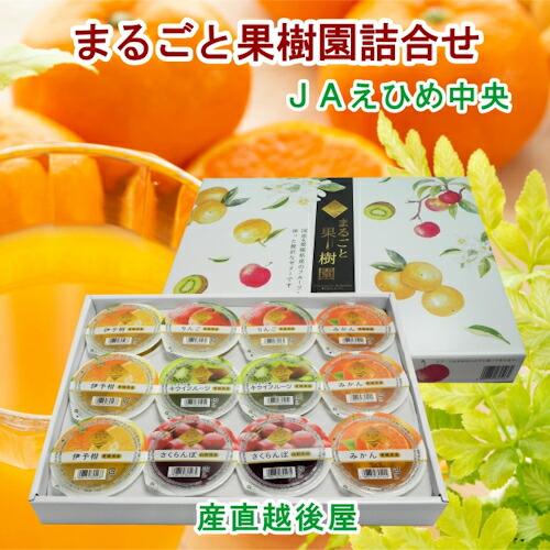 愛媛県の農協 JAえひめ中央 まるごと果実園詰合せ フルーツゼリー 120ｇ12個 化粧箱 送料無料...