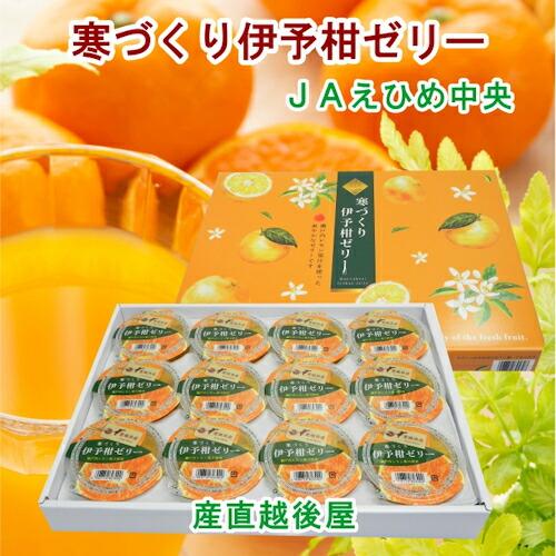 愛媛県の農協 JAえひめ中央 寒づくり伊予柑ゼリー詰合せ 伊予柑ゼリー 155ｇ12個 化粧箱 送料...
