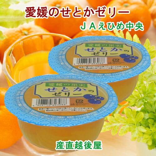 愛媛県の農協 JAえひめ中央 愛媛の果実 せとかのカップゼリー せとかのゼリー155ｇ 30個入 送...