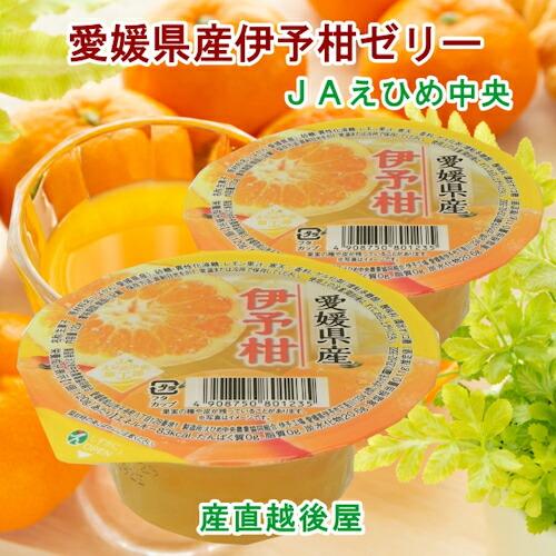 愛媛県の農協 JAえひめ中央 愛媛の果実 伊予柑カップゼリー 伊予柑ゼリー 120g 30個 送料無...