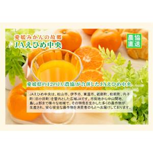 愛媛県の農協 JAえひめ中央 愛媛の果実 飲む...の詳細画像2