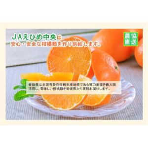 愛媛県の農協 JAえひめ中央 愛媛の果実 飲む...の詳細画像3