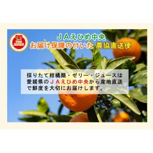 愛媛県の農協 JAえひめ中央 愛媛の果実 飲む...の詳細画像5