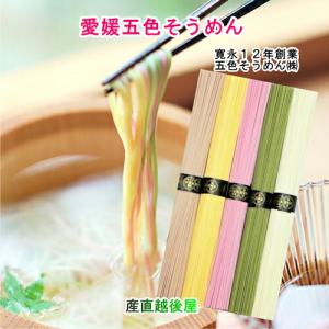 愛媛県五色そうめんの老舗 手延べ五色そうめん 5束 250g 2箱 五色そうめん株式会社 送料無料【お中元 うどん 素麺 ギフト グルメ】