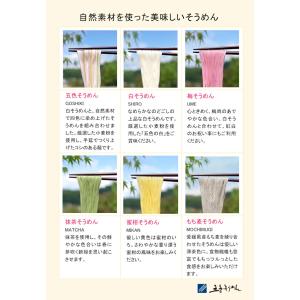 愛媛県五色そうめんの老舗 手延べ五色そうめん ...の詳細画像3