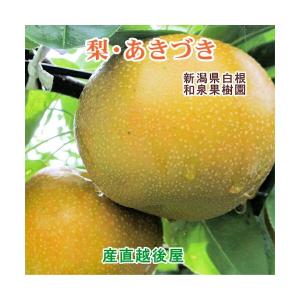 新潟県白根 梨栽培農家 和泉果樹園有機質肥料栽培 あきづき梨 3kg(5個〜7個）家庭用梨 送料無料【なし 贈答品 プレゼント】