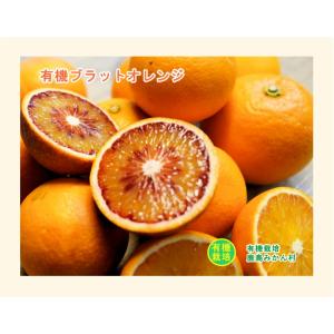 佐賀県 鹿島市 有機みかん佐藤農場有機プラット...の詳細画像1