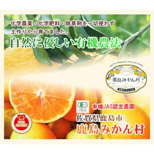 佐賀県 鹿島市 有機みかん佐藤農場有機プラット...の詳細画像2