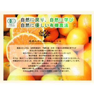佐賀県 鹿島市 有機みかん佐藤農場有機プラット...の詳細画像3