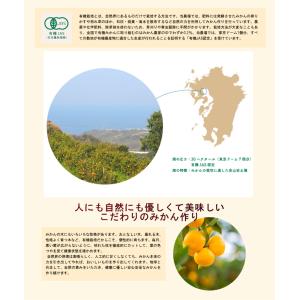 佐賀県 鹿島市 有機みかん佐藤農場有機プラット...の詳細画像4