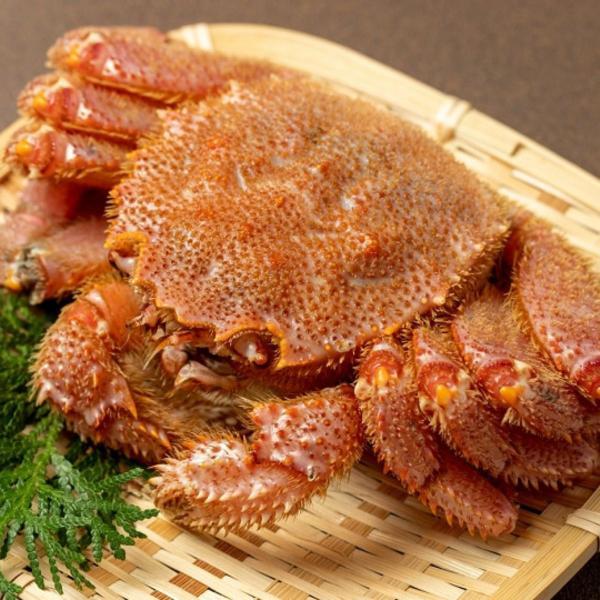 北海道函館 弘成  北海道産ボイル毛蟹約450g 冷凍品カニ 毛ガニ  北海道 函館【かに味噌 プレ...
