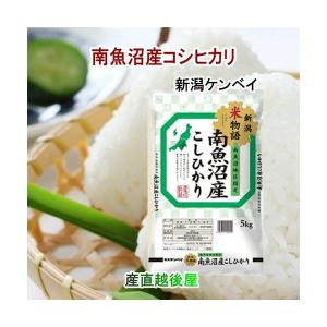コシヒカリ 令和7年産 南魚沼産 5kg 無洗米 新潟県 南魚沼 JAみなみ