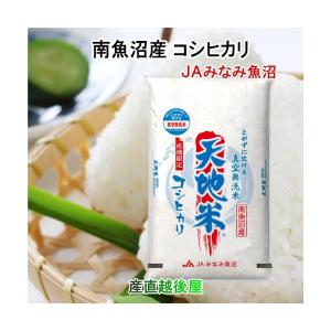 令和５年産 新米 無洗米 5kｇ コシヒカリ 特Ａ地区 魚沼産 新潟県 南魚沼 JAみなみ魚沼農協 天地無洗米 真空パック包装 送料無料