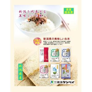 令和7年産 新潟産 にじのきらめき 新潟産 新...の詳細画像2