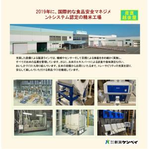 令和7年産 新潟産 にじのきらめき 新潟産 新...の詳細画像3