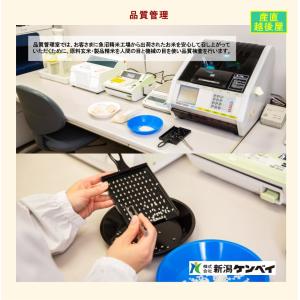 令和7年産 新潟産 にじのきらめき 新潟産 新...の詳細画像4