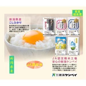 令和7年産 新潟産 にじのきらめき 新潟産 新...の詳細画像5
