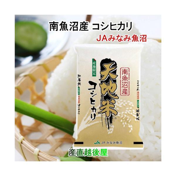 令和５年産  コシヒカリ 2kg 特Ａ地区 魚沼産 新潟県 南魚沼 JAみなみ魚沼農協 天地米 送料...