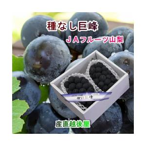 山梨産種なし「巨峰」ぶどう3kg（約6房） : 山の廻船問屋 - 通販