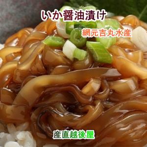 魚介類 水産加工品 イカ 醤油漬け 鳥取県 堺港市 網元...