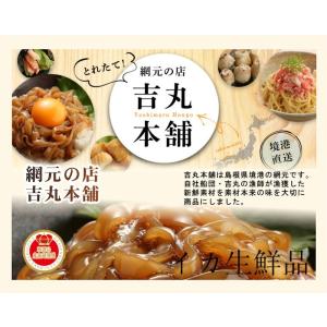 【魚介類 水産加工品 イカ 醤油漬け】鳥取県 ...の詳細画像3