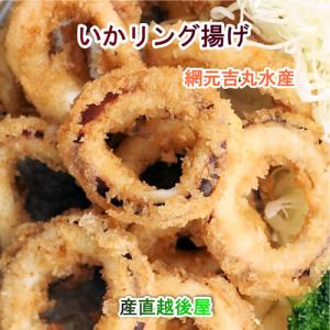 魚介類 水産加工品 いかリング 鳥取県 堺港市 網元吉丸水産