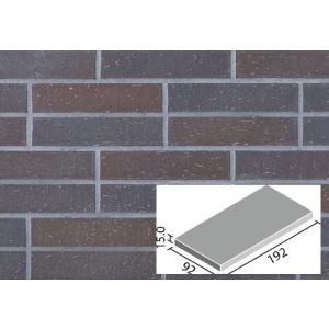 LIXIL（リクシル） パティーノ 200×100mm角平 PTI-210/4 / LIXIL INAX
