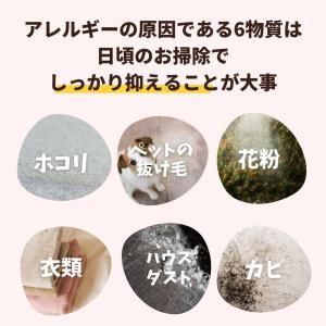 【送料無料】エチケットブラシ ちょこっと掃除 ...の詳細画像5