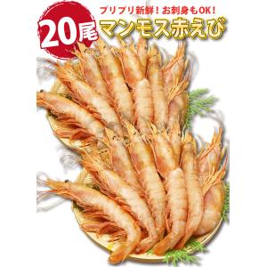 海鮮バーベキュー 赤エビ 20尾 ホタテ 殻付...の詳細画像3