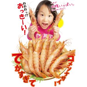 海鮮バーベキュー 赤エビ 20尾 ホタテ 殻付...の詳細画像5