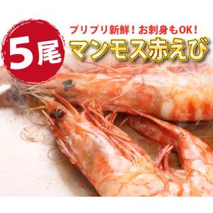 海鮮バーベキュー 赤エビ 5尾 ホタテ 殻付 ...の詳細画像3