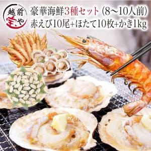 海鮮バーベキュー 赤エビ 10尾 ホタテ 殻付き10枚 牡蠣 1kg (8-10人前) 海鮮 BBQ バーベキュー 海鮮鍋 ((冷凍)) 爆買