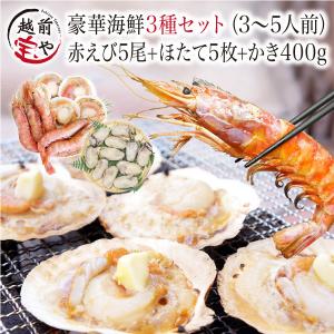 海鮮バーベキューセット 赤エビ 5尾 ホタテ 殻付き 5枚 牡蠣 400ｇ (3-5人前) 海鮮セット 海鮮福袋 BBQ バーベキュー お取り寄せ 海鮮鍋 海鮮おせち ((冷凍))｜福井のカニ・干物専門店 越前宝や