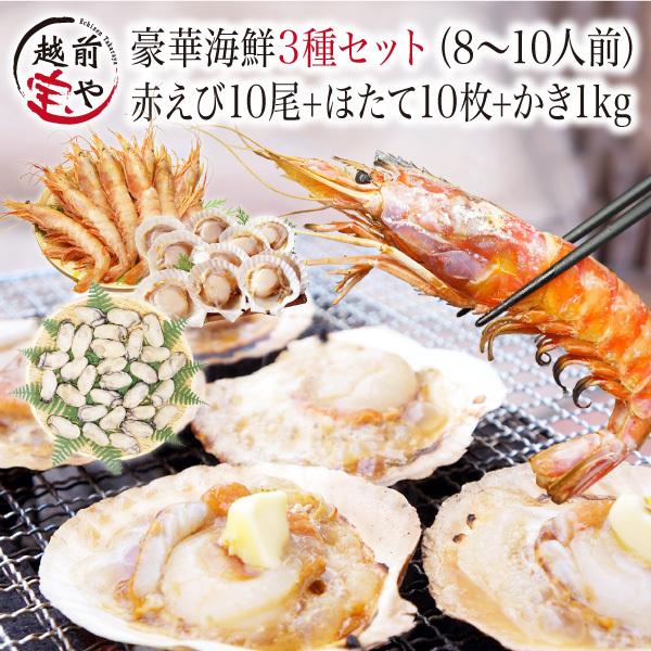 海鮮バーベキューセット 赤エビ 10尾 ホタテ 殻付き 10枚 牡蠣 1kg (8-10人前) 海鮮...