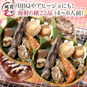 海鮮バーベキューセット 6種 22品 (約4-6人前)2P BBQ バーベキュー 海鮮鍋 ((冷凍))  海鮮セット 海鮮福袋 お取り寄せ 牡蠣 赤エビ ホタテ さざえ いか はまぐり｜etizentakaraya