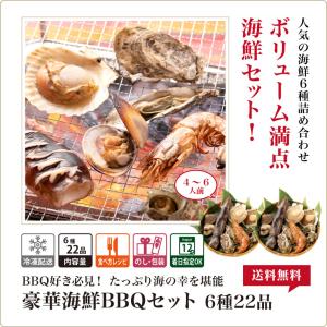 海鮮バーベキュー 6種22品 (約4-6人前)...の詳細画像1