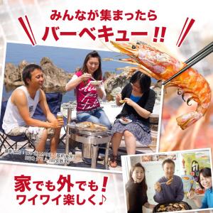 海鮮バーベキュー 6種22品 (約4-6人前)...の詳細画像2
