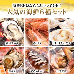 海鮮バーベキュー 6種22品 (約4-6人前)...の詳細画像4